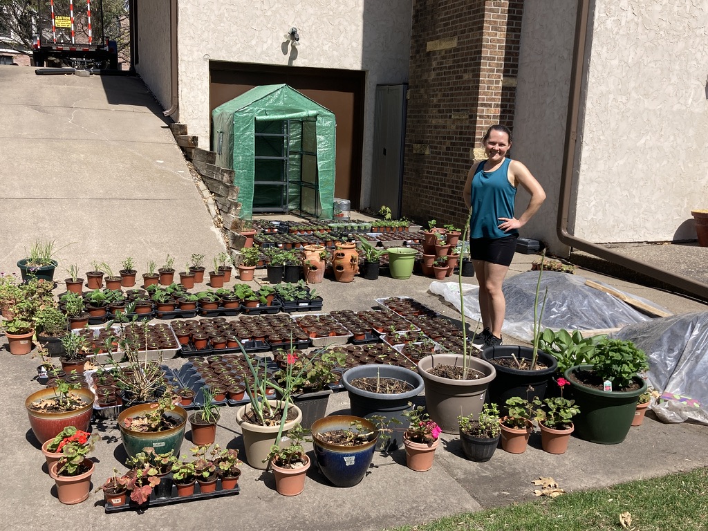 The Roaming Gnome plant yard sale