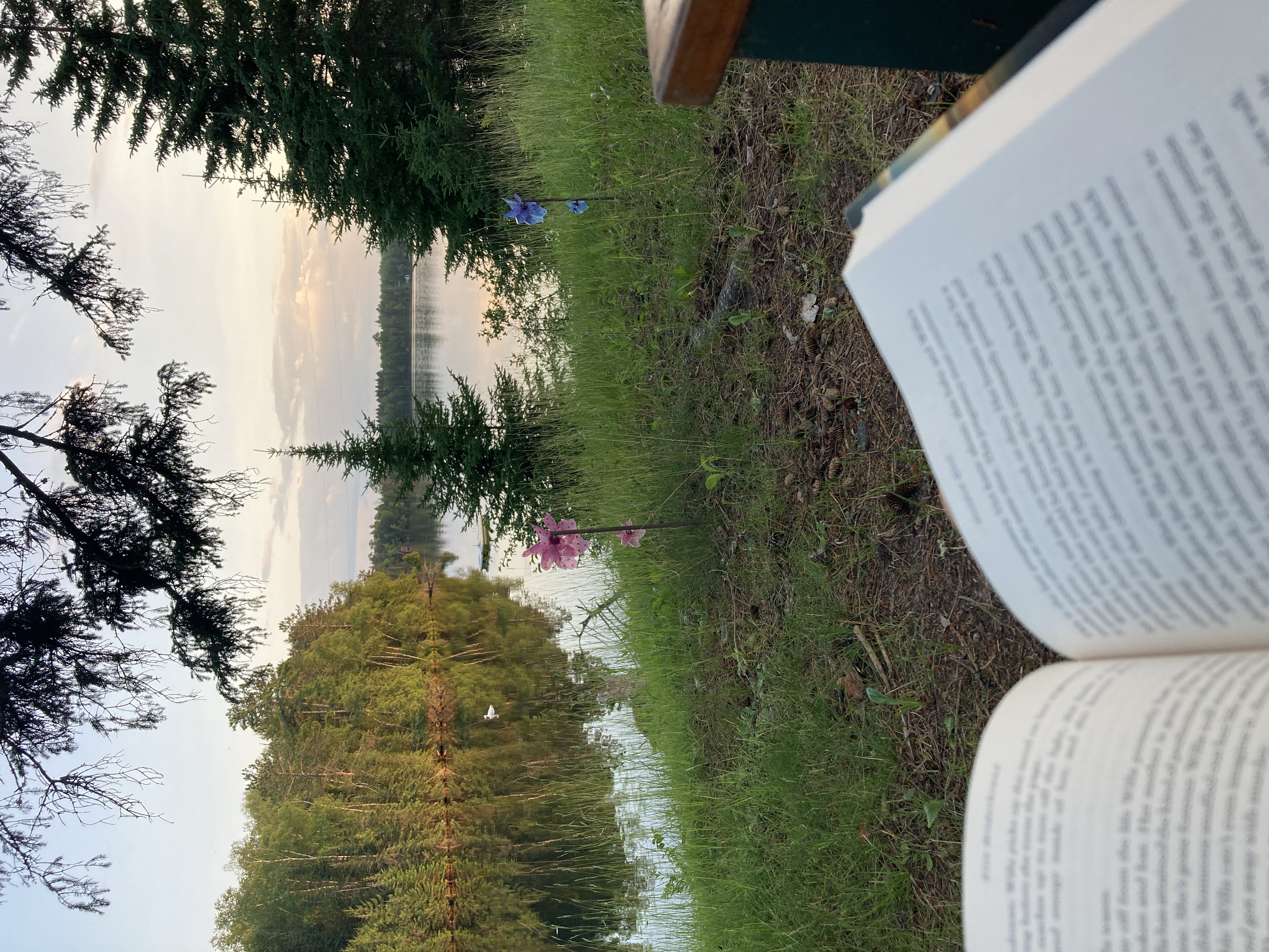 Sara reading by the lake